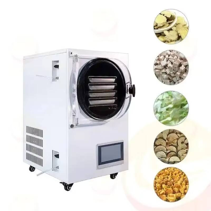 Freeze Drying Machine Small Va - Vacuum Chamber Small ulasan dan harga