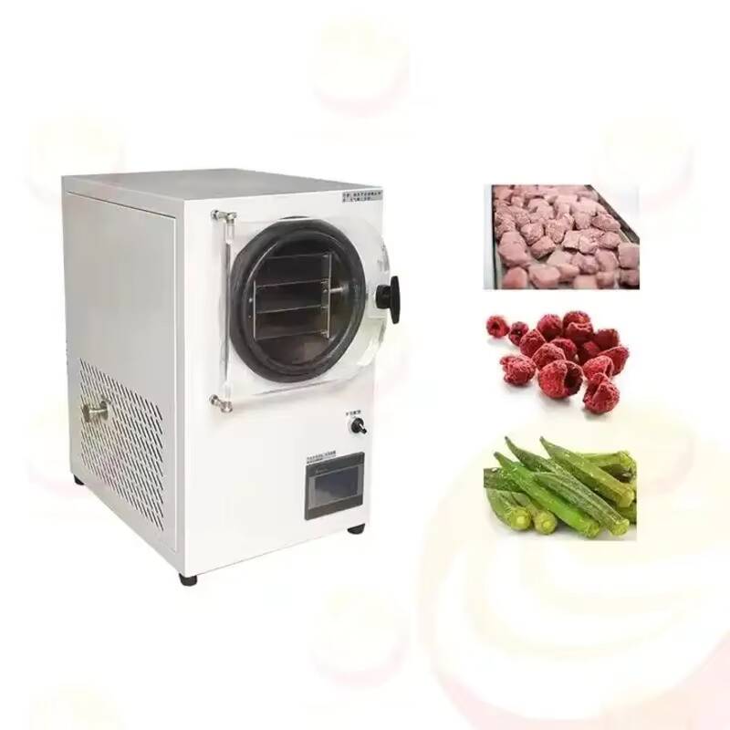 Freeze Drying Machine Small Va - Vacuum Chamber Small ulasan dan harga